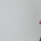 vfceh2_video.mp4