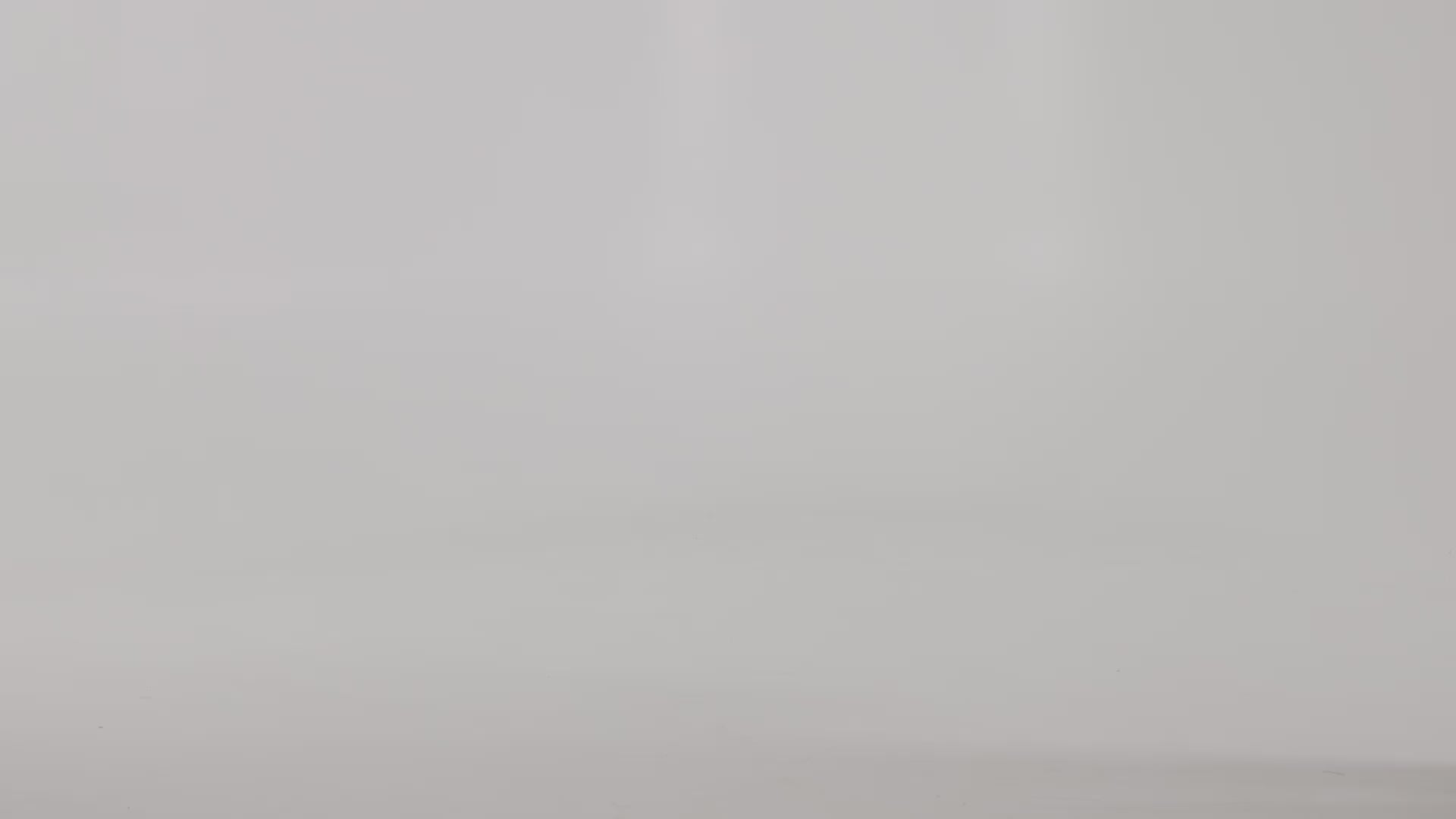 vfpt2l_video.mp4