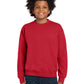 Youth Heavy Blend Crewneck Sweatshirt - 18000B - Red