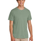 Men's Performance T-Shirt - 42000 - Sage