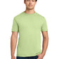 Men's Softstyle T-Shirt - 64000 - Pistachio
