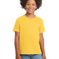 Boy's Modern Fit Softstyle T-Shirt - 64000B - Daisy