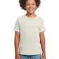 Boy's Modern Fit Softstyle T-Shirt - 64000B - Heather Oatmeal