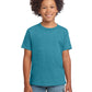 Boy's Modern Fit Softstyle T-Shirt - 64000B - Heather Galapagos Blue