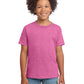 Boy's Modern Fit Softstyle T-Shirt - 64000B - Heather Heliconia
