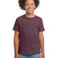 Boy's Modern Fit Softstyle T-Shirt - 64000B - Heather Maroon