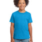 Boy's Modern Fit Softstyle T-Shirt - 64000B - Heather Sapphire