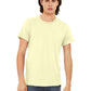 Unisex Triblend Tee - BC3413 - Pale Yellow Triblend