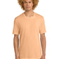 Men's Pocketless Short Sleeve T-Shirt - DT104 - Apricot