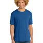 Men's Pocketless Short Sleeve T-Shirt - DT104 - Royal Blue Heather