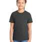 Youth Perfect Tri Tee - DT130Y - Black Frost