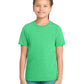 Youth Perfect Tri Tee - DT130Y - Green Frost