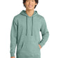 Men's V.I.T. Fleece Hoodie - DT6100 - Heathered Dusty Sage