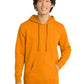 Men's V.I.T. Fleece Hoodie - DT6100 - Marigold Heather