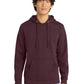 Men's V.I.T. Fleece Hoodie - DT6100 - Plum