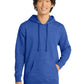 Men's V.I.T. Fleece Hoodie - DT6100 - Royal Frost