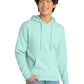 Men's V.I.T. Fleece Hoodie - DT6100 - Sea Mist