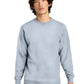 Men's Fleece Sweatshirt - DT6104 - Light Heather Grey