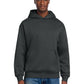 Men's V.I.T. Heavyweight Fleece Hoodie - DT6150 - Charcoal
