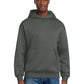 Men's V.I.T. Heavyweight Fleece Hoodie - DT6150 - Deep Smoke