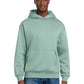 Men's V.I.T. Heavyweight Fleece Hoodie - DT6150 - Dusty Sage