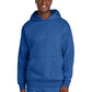 Men's V.I.T. Heavyweight Fleece Hoodie - DT6150 - Royal Frost