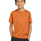 Unisex Pocketless Youth Team rLegend Tee - DV7317 - Desert Orange