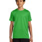 Unisex Pocketless Youth Swoosh Sleeve rLegend Tee - NKDX8787 - Apple Green