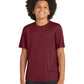 Youth PosiCharge Competitor T-Shirt - YST350 - Maroon