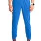 Men's Mid Rise Jogger - IN204A - Royal